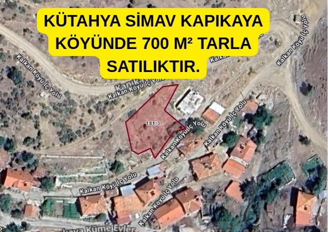 Fotoğraf